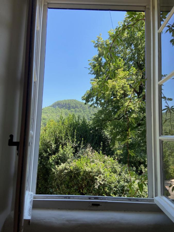 La Frigoule, Un Gite Au Coeur Du Parc Des Cevennes Generargues Экстерьер фото